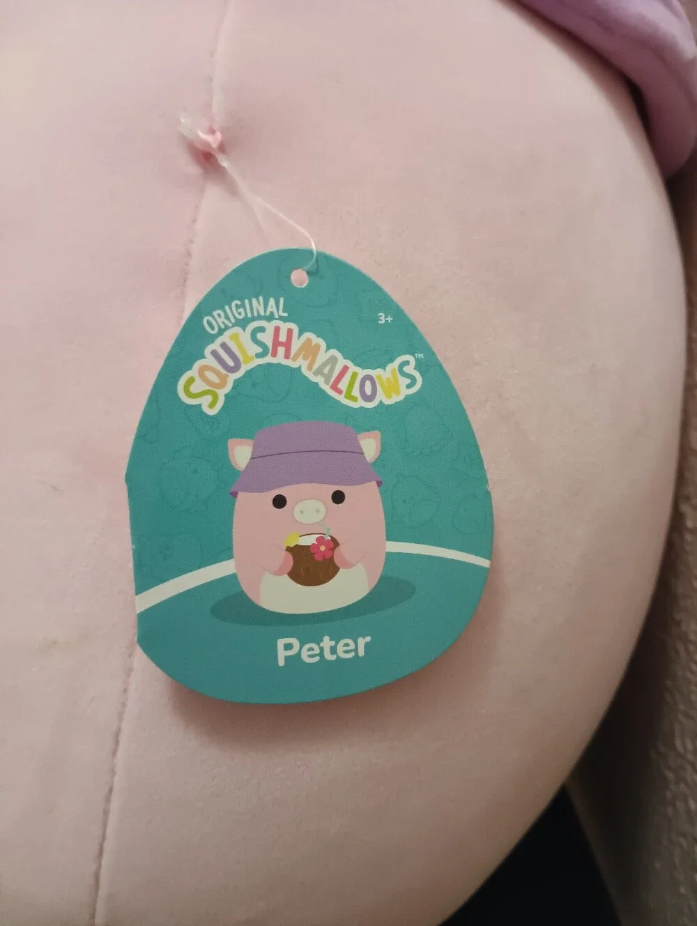 Squishmallow Peter the Pig 16
